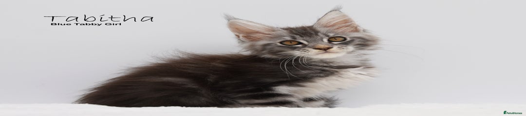 Tabitha
