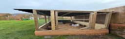Chickens poultry for sale: Chicken Coops - excellent quality - British Made - Advert 25