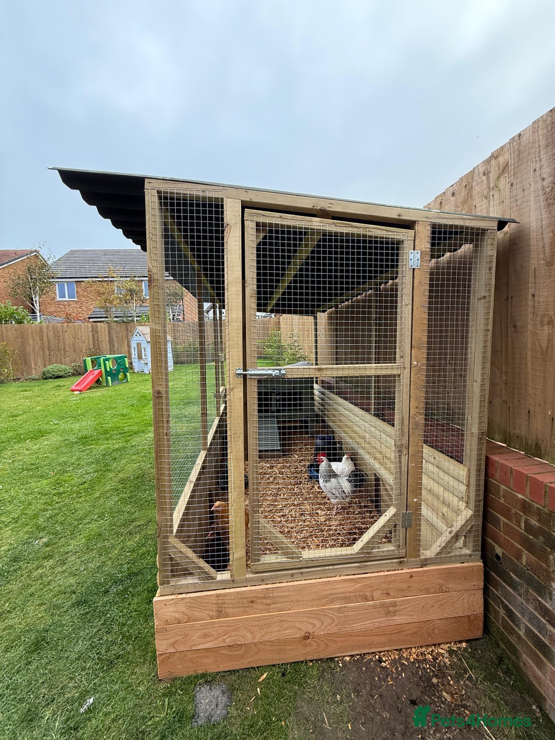 Chickens poultry for sale: Chicken Coops - excellent quality - British Made - Advert 25