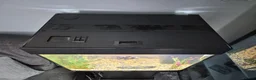 Fancy Goldfish fish for sale: 120 litre juwel tank with 2 fancy goldfish  - Advert 2