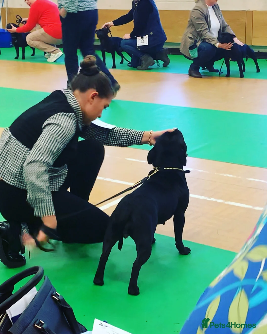 Gallery Image {{count}}