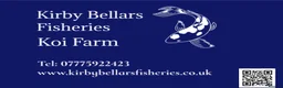 Koi Carp fish for sale: Koi for sale  in Melton Mowbray - Advert 4