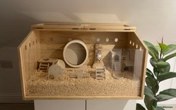 Hamster rodents for sale: Enclosure for sale  - Advert 3