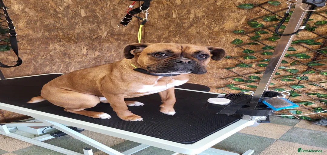 Gallery Image {{count}}