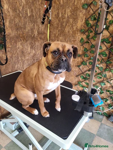 Gallery Image {{count}}