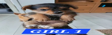 Girl 1