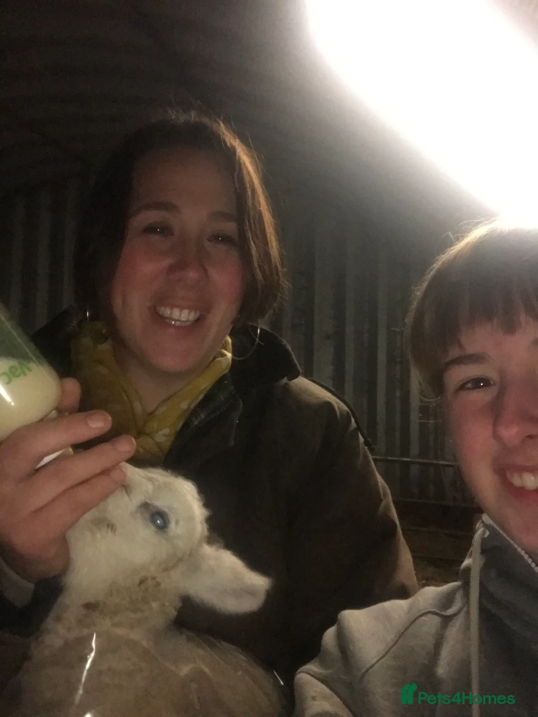 Gallery Image {{count}}