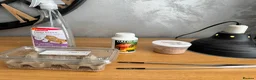 Bearded Dragon reptiles for sale: Healthy Bearded Dragon + Full Vivarium Setup  in Livingston - Advert 5