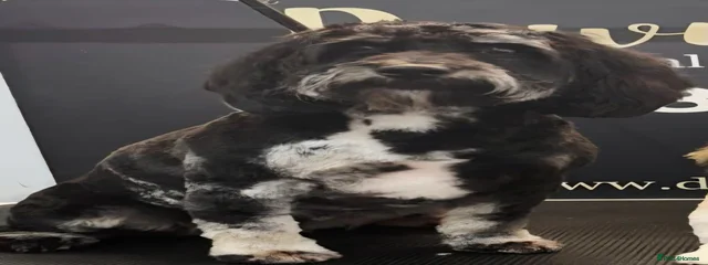 Lhuna