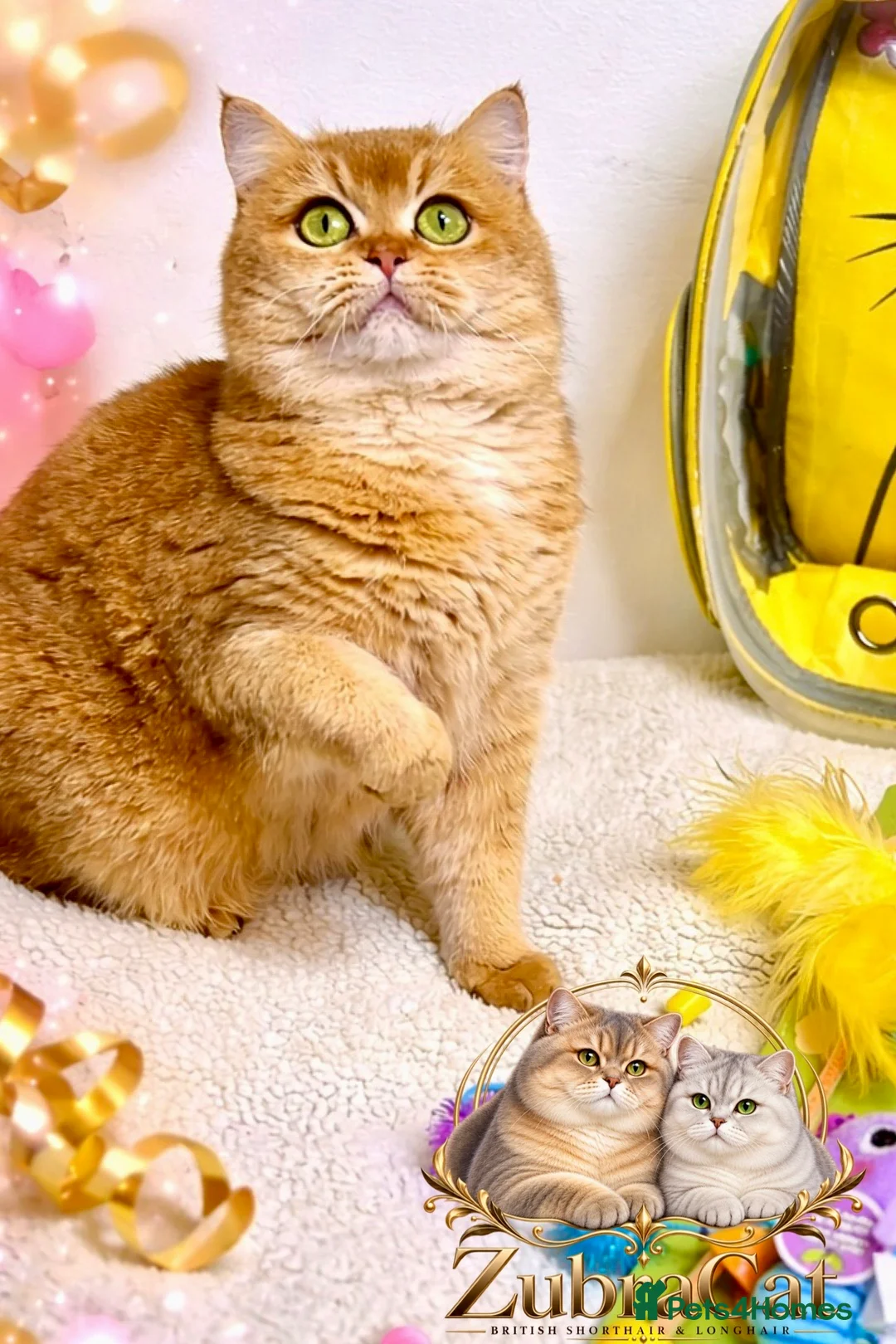 Gallery Image {{count}}