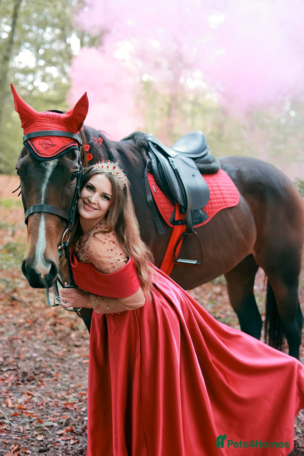 English Thoroughbred horses TB mare for sale, 16.2 hh, 7 years old - Advert 12