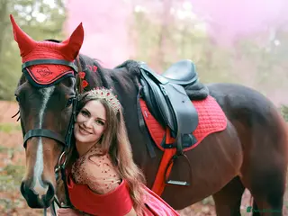 English Thoroughbred horses TB mare for sale, 16.2 hh, 7 years old - Advert 12