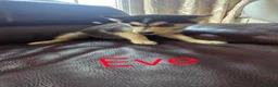Siberian Husky dogs for sale: BEAUTIFUL SIBERIAN HUSKY PUPPIES  - Advert 4