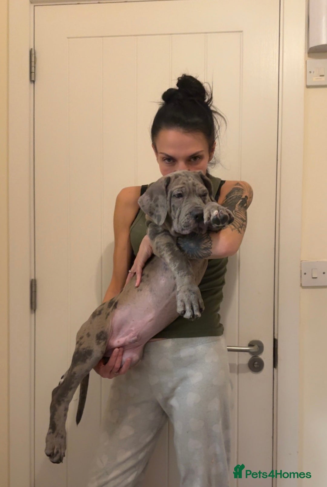 Gallery Image {{count}}