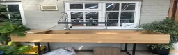 Hermann Tortoise reptiles for sale: Female, Hermann Tort, Table and Lamp in Leicester - Advert 5