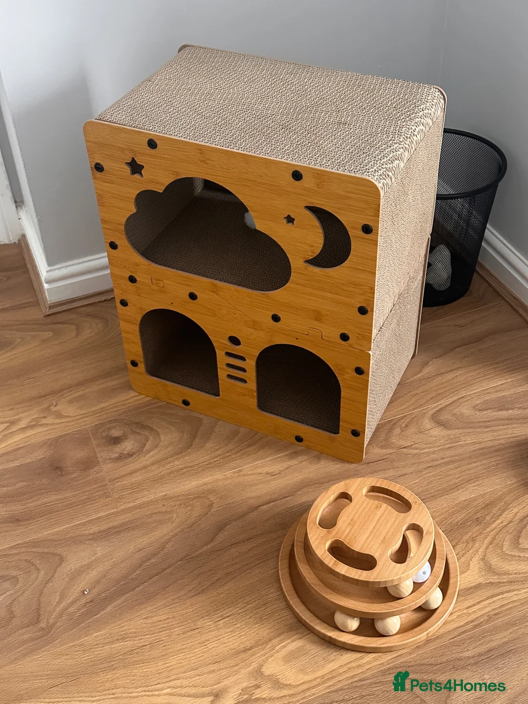 British Shorthair cats for sale: Little Nyx in Dagenham - Advert 2
