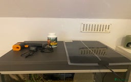 Leopard Gecko reptiles for sale: Leopard gecko for sale (with all accessories) - Image 4