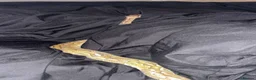 Python Snake reptiles for sale: female bamboo royal python in Hereford - Advert 4