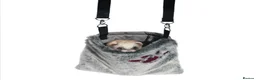 Ferret rodents for sale: 2 Ferrets for Sale, Seeking a Loving Home 15weeks - Advert 8