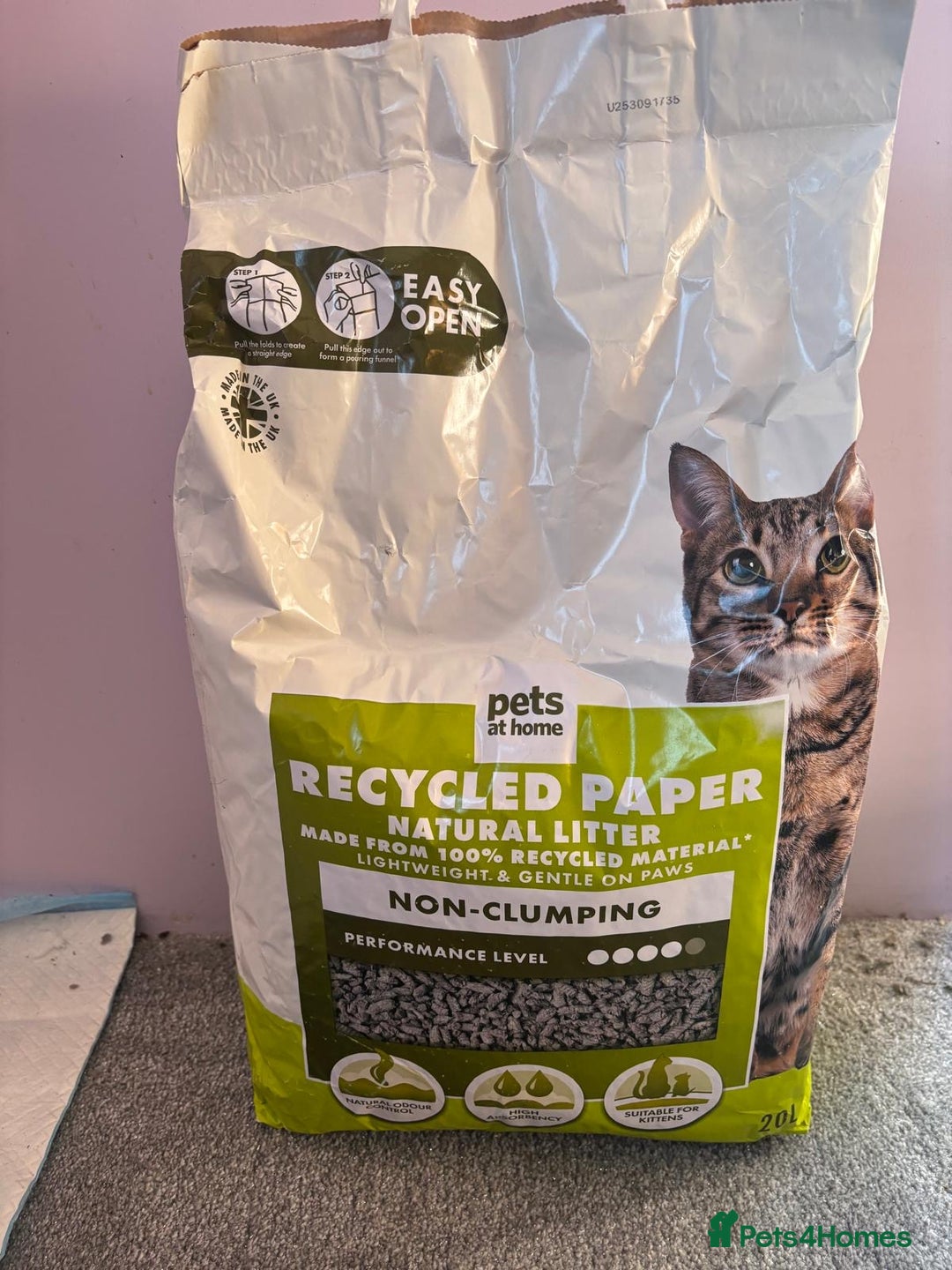 Rat rodents for sale: Dumbo Rats - Advert 15