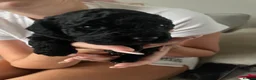 Cockapoo dogs for sale: Beautiful F2 black girl cockapoo in Morpeth - Advert 3