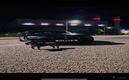 Staffordshire Bull Terrier dogs for sale: Beautiful Blue Staffy Girl Remi 🩷 - Image 5