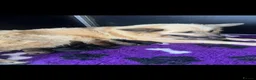German Shepherd dogs for sale: OUTSTANDING LONG HAIRED GERMAN SHEPARD PUPPIES - Advert 7