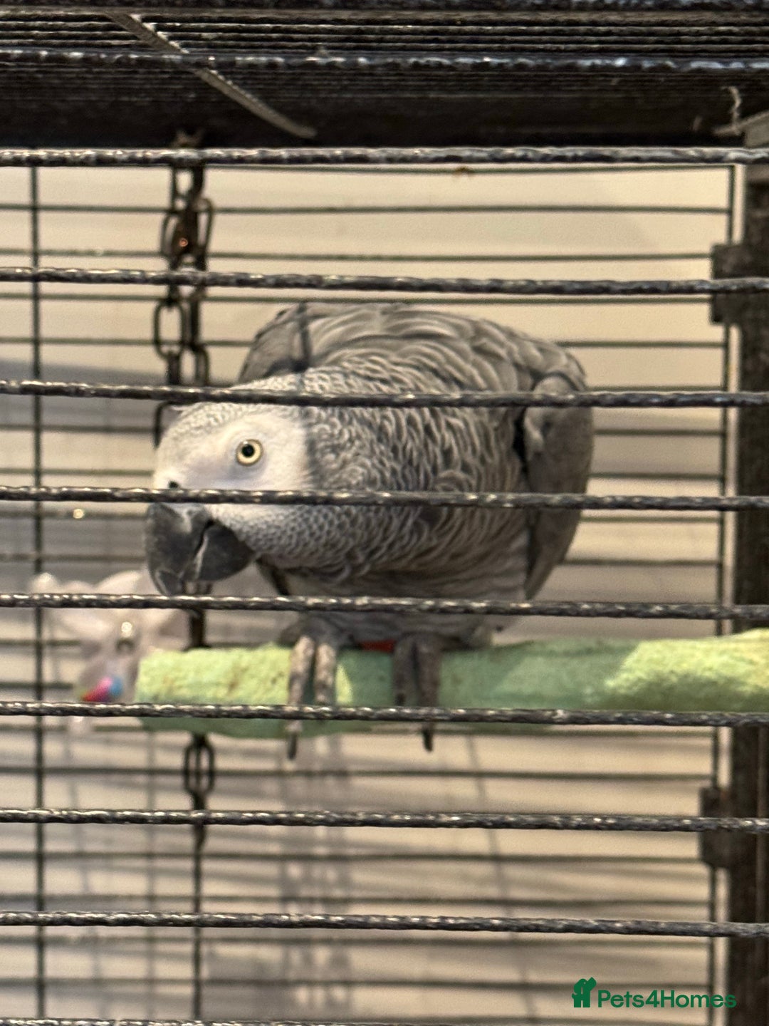 Gallery Image {{count}}