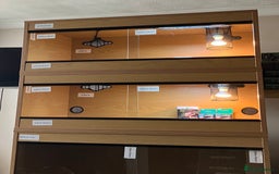 Leopard Gecko reptiles for sale: Leopard Gecko + Vivarium Setup Kit - Image 3