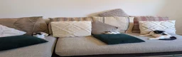 Domestic Shorthair cats for sale: Short haired domestic kittens in Exeter - Advert 4