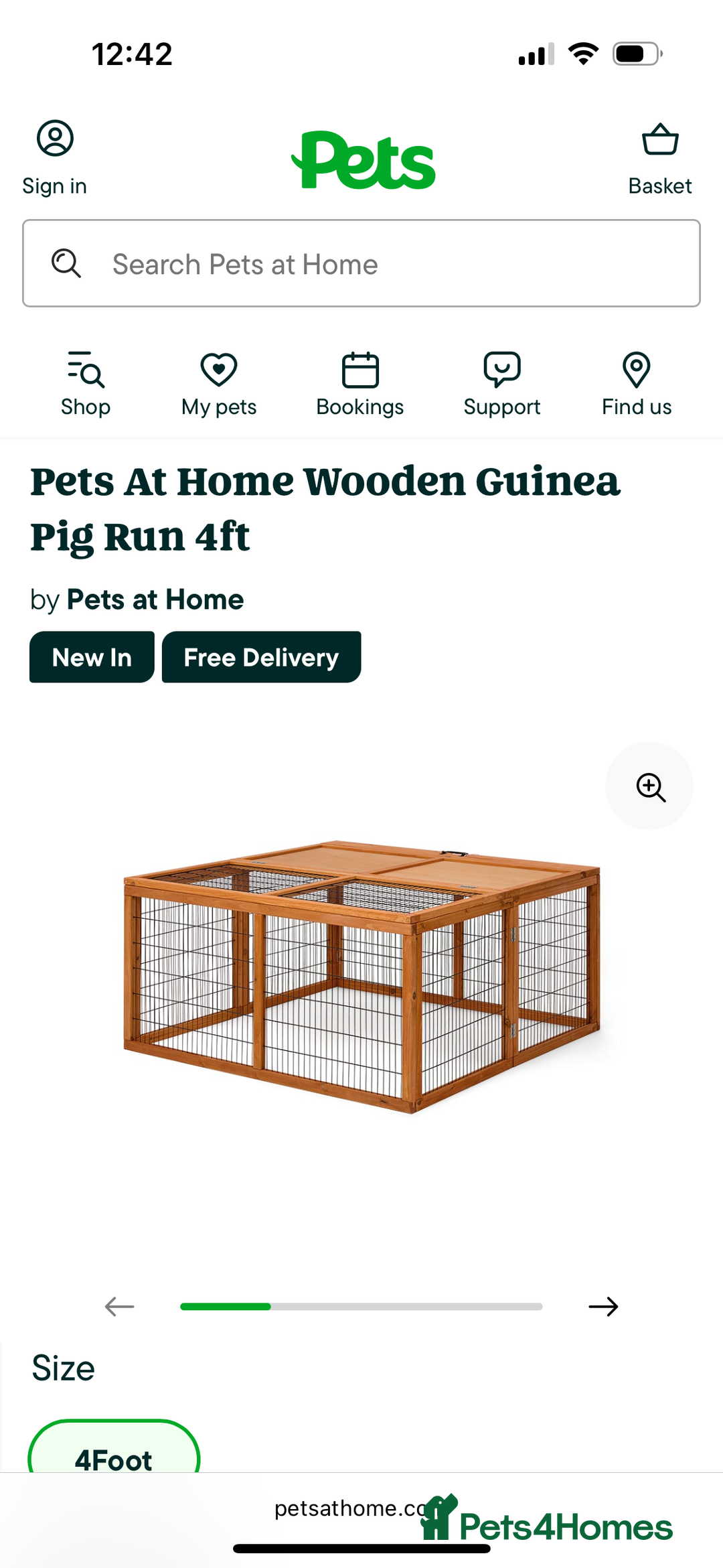 Guinea Pig rodents for sale: Stunning boar pair with all accessories  - Advert 8