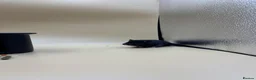 Hamster rodents for sale: Pedigree Syrian hamster pups  - Advert 24