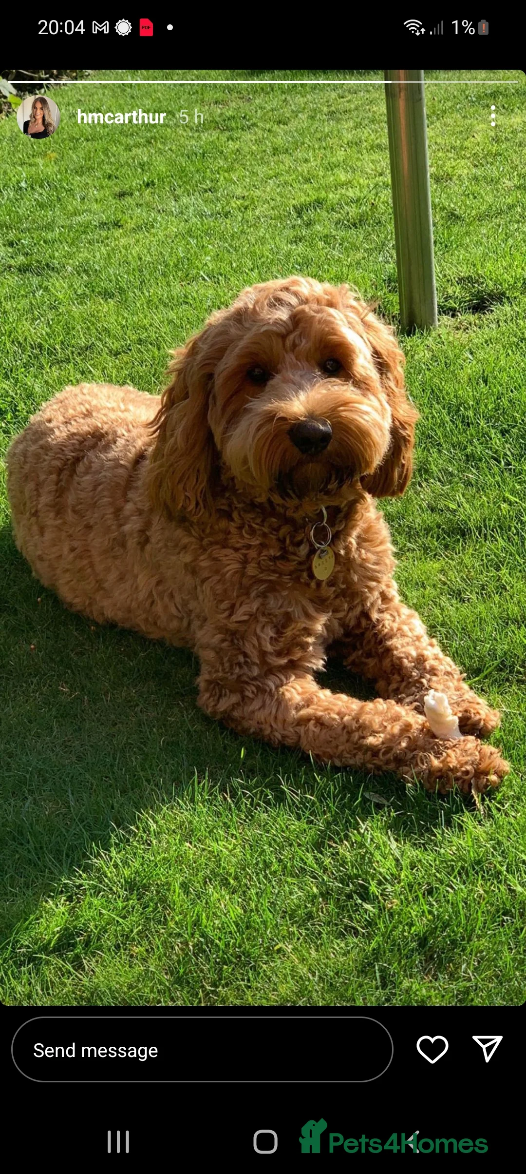 Gallery Image {{count}}