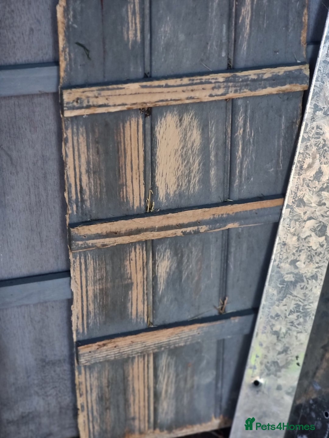 Guinea Pig rodents for sale: Rabbit/guineapig run/cage - Advert 4