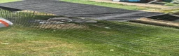 Dwarf Lop rabbits for sale: Indoor bunny and equipment  in Peterborough - Advert 3