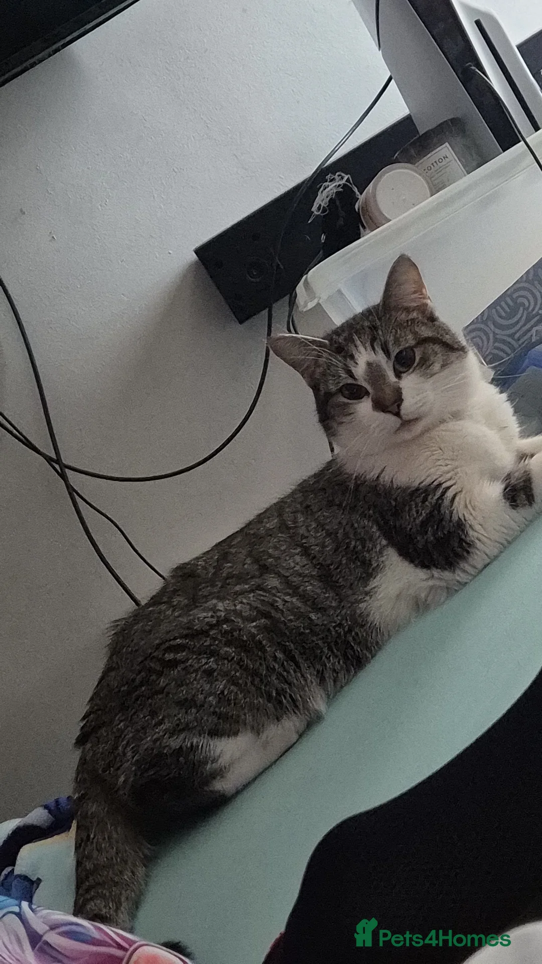 Gallery Image {{count}}