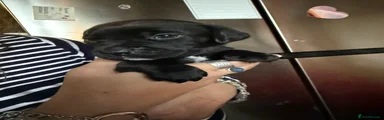 Boy 2 