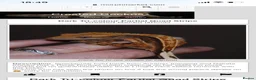 Gecko reptiles for sale: Crested Gecko Tri-Colour Partial Quad Stripe in Middlesbrough - Advert 2