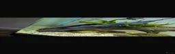 Other/Mixed Breed fish for sale: Ghost knife  - Advert 3