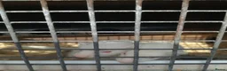 Ferret rodents for sale: 4 white ferrets in Rotherham - Advert 3