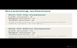 Golden Retriever dogs for stud: EXTENSIVELY HEALTH TESTED, KC Reg PROVEN in Bishop Auckland - Image 12