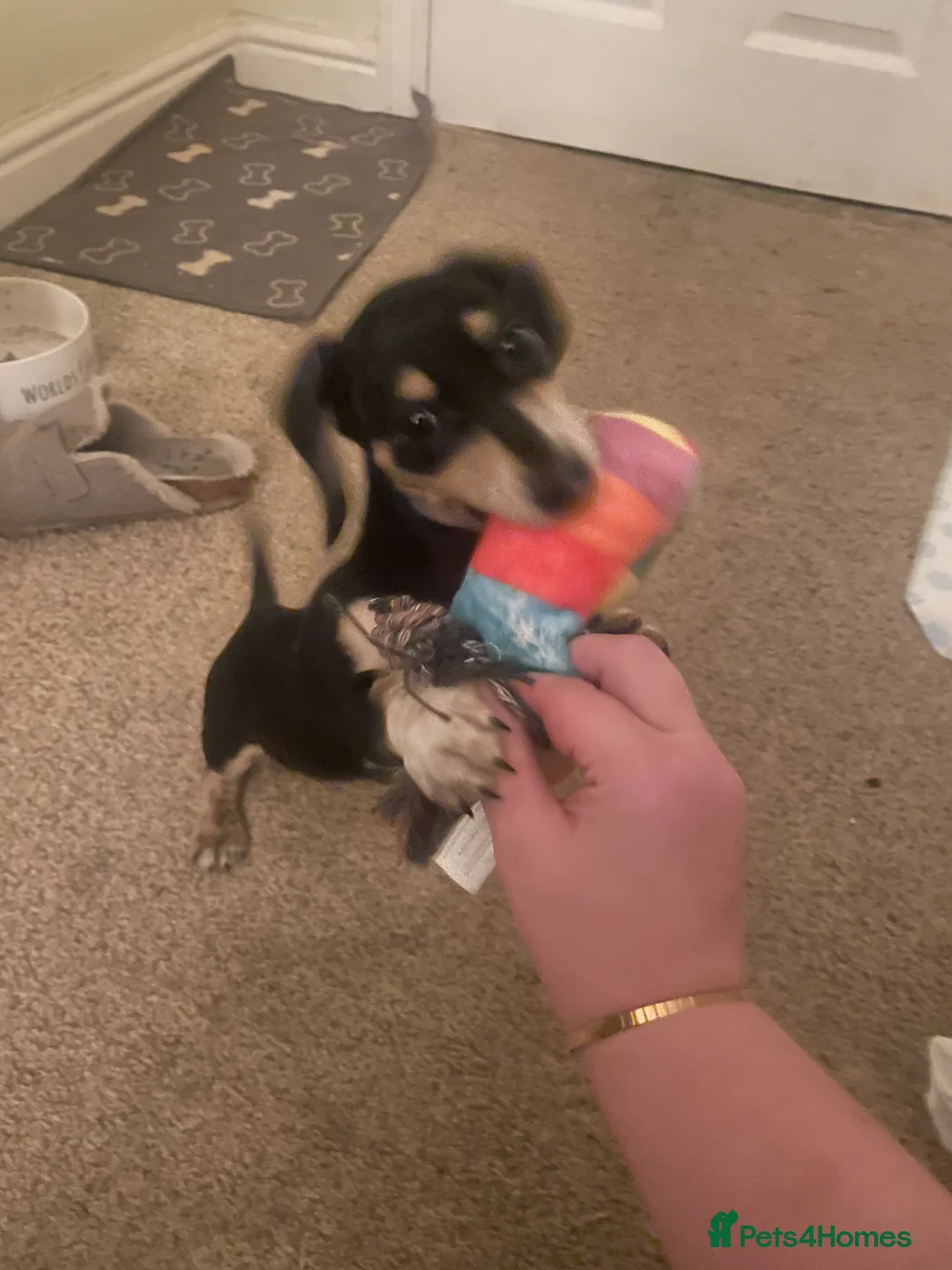 Gallery Image {{count}}