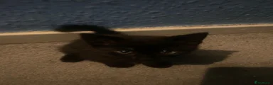 boy 1