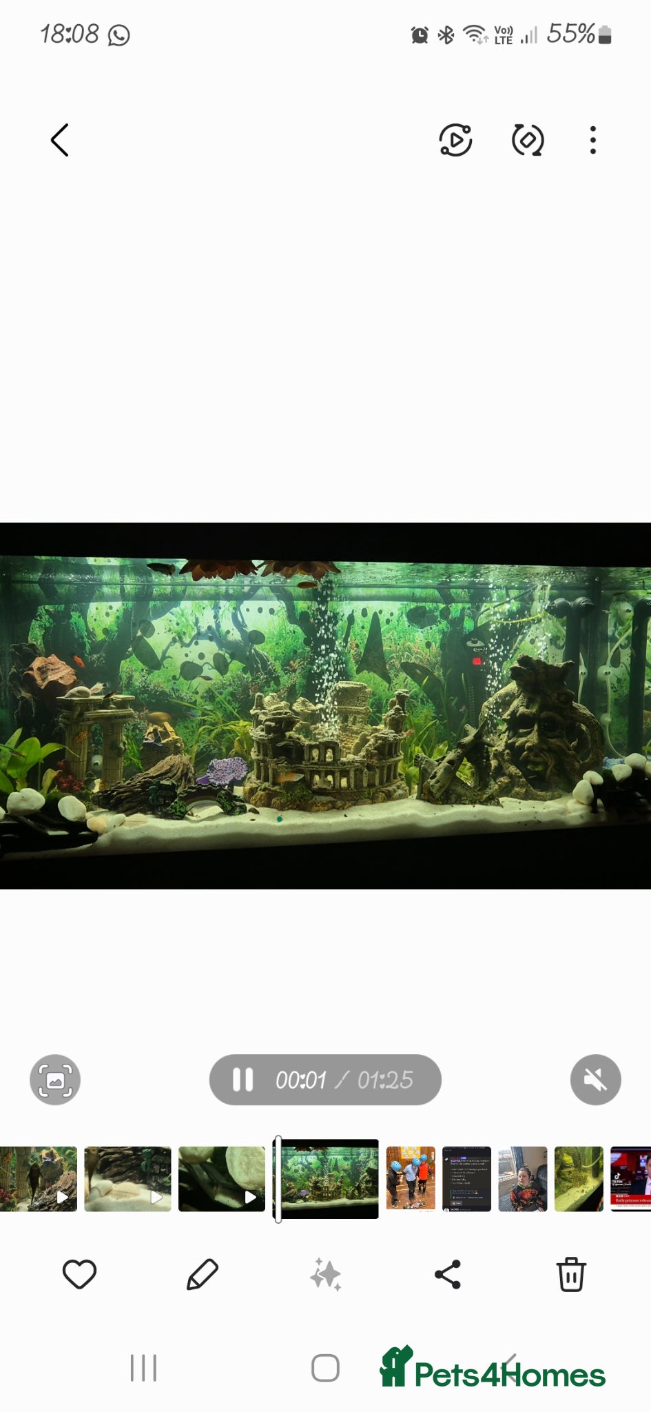 Other/Mixed Breed fish Tank with stand and tropical fish  - Advert 1