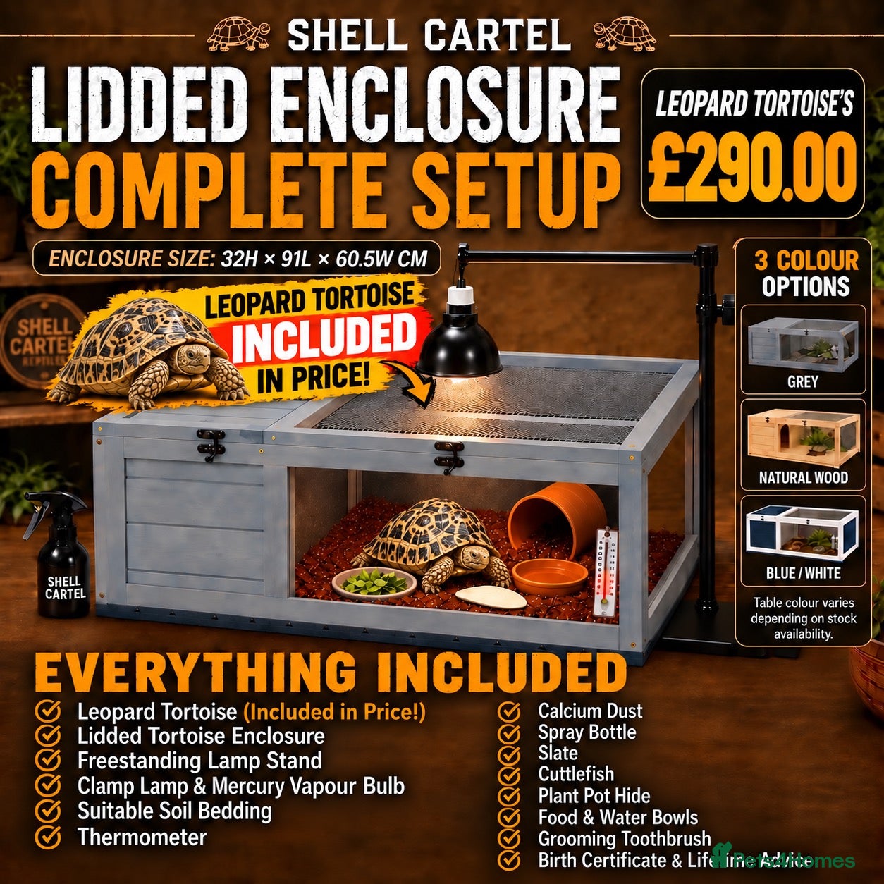 Tortoise reptiles BABY LEOPARDS & SET UPS - Advert 2
