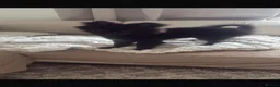 Pomchi dogs for sale: Primrose precious pomchi  - Advert 27