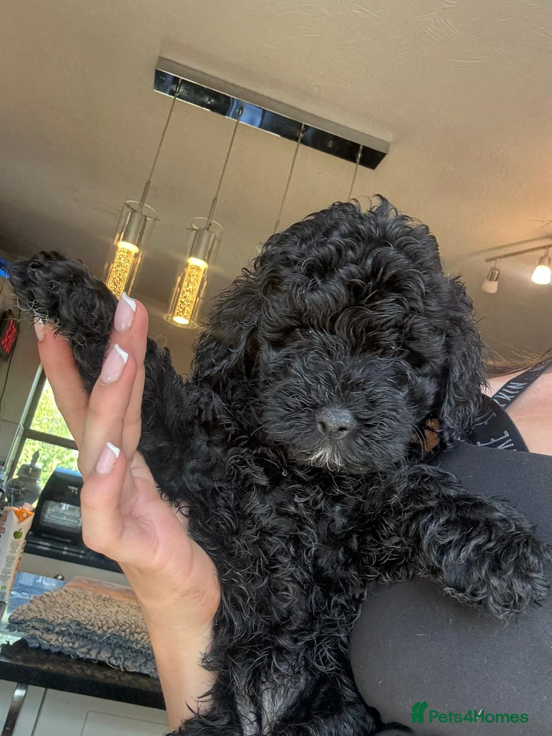 Gallery Image {{count}}