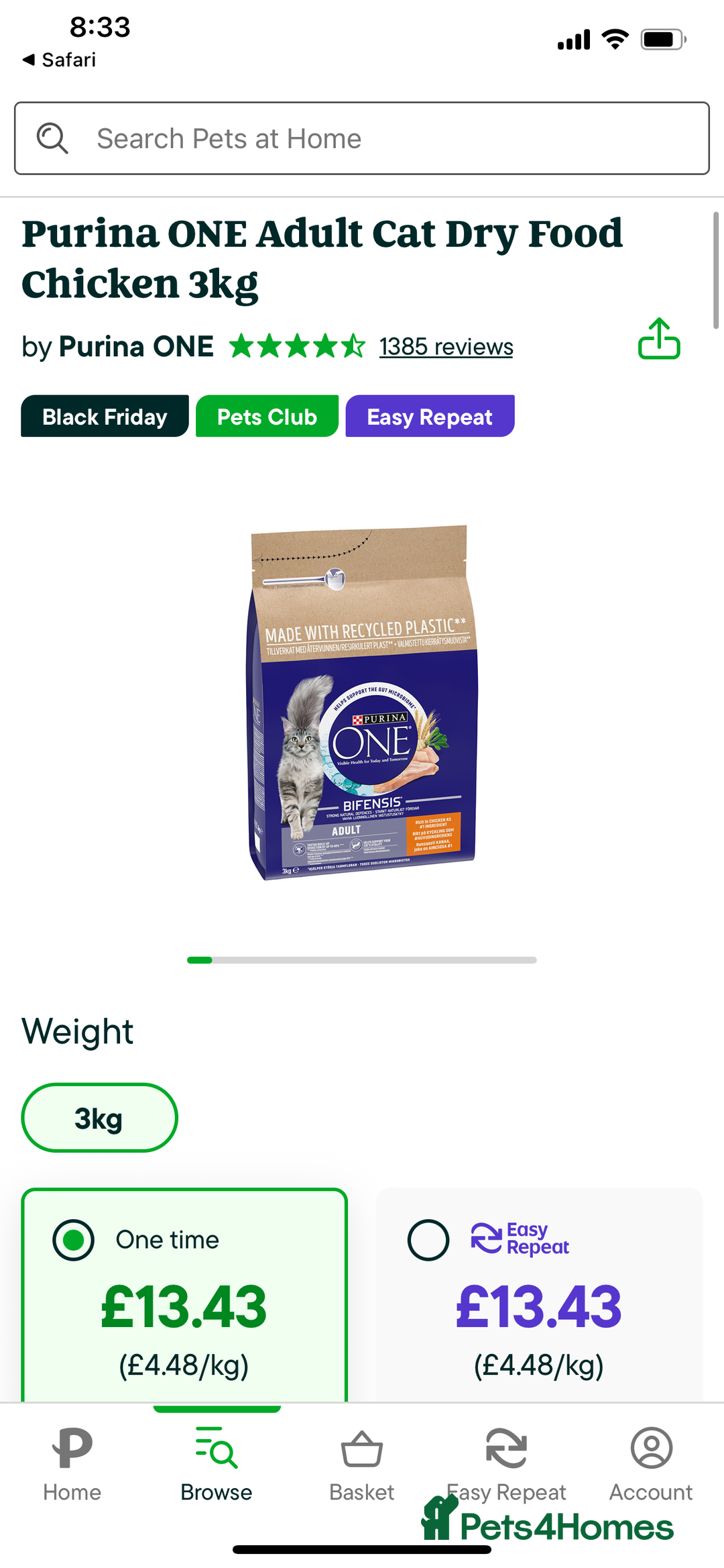 Ragdoll cats for sale: Lovely Ragdoll looking for lovely family - Advert 22