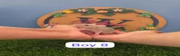 Rat rodents for sale: Dwarf Baby Rats Male Boys Friendly  - Advert 2