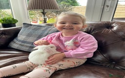 Mini Lop rabbits for sale: 2 x very friendly female mini lop rabbits - Image 4